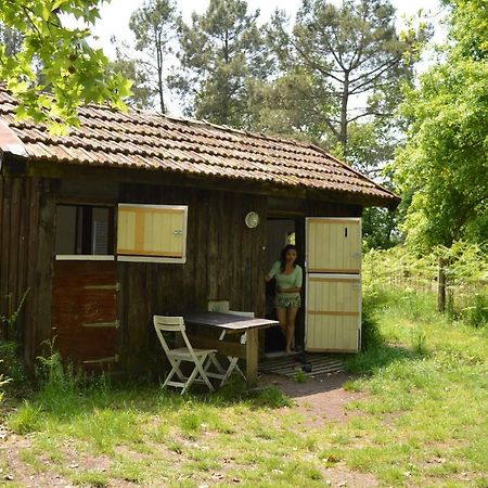 Cabane En Foret Onesse-et-Laharie Bagian luar foto