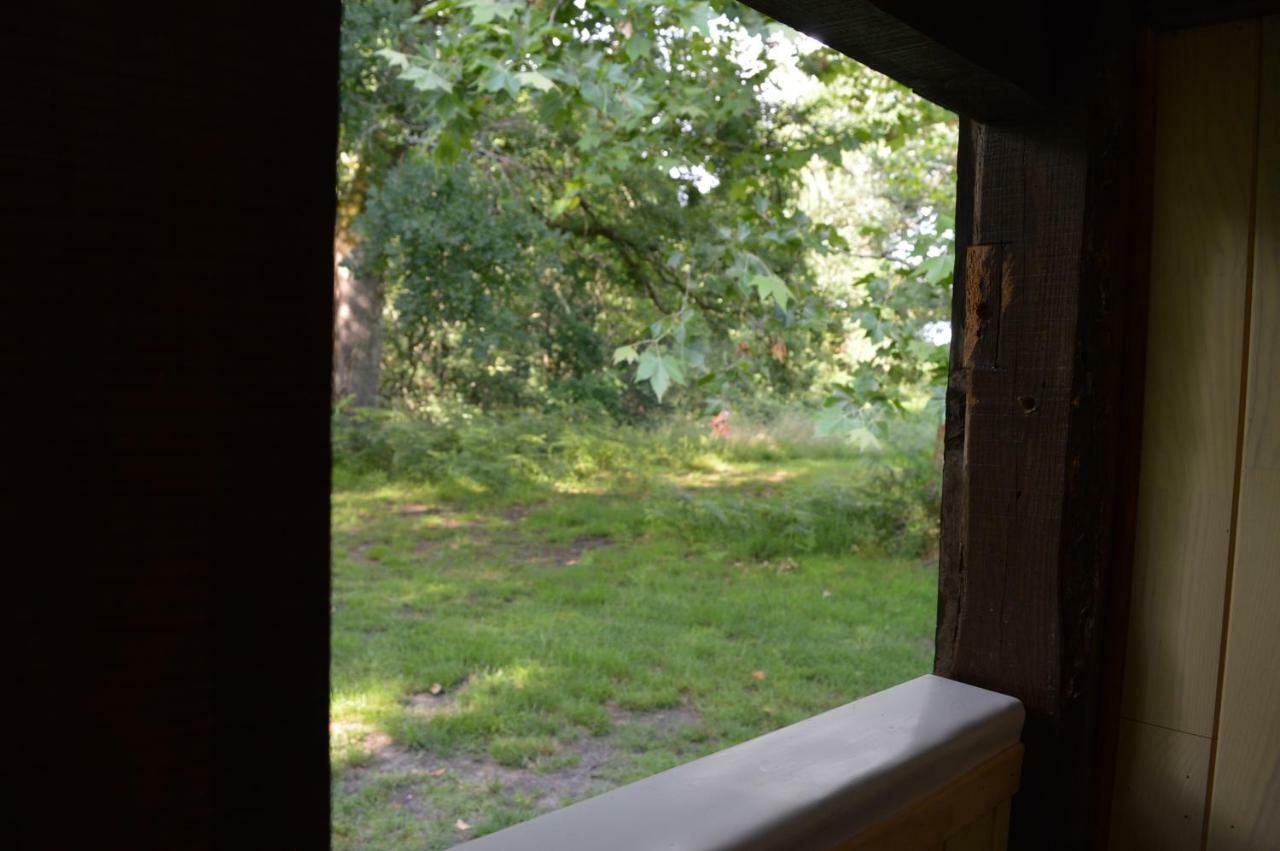 Cabane En Foret Onesse-et-Laharie Bagian luar foto