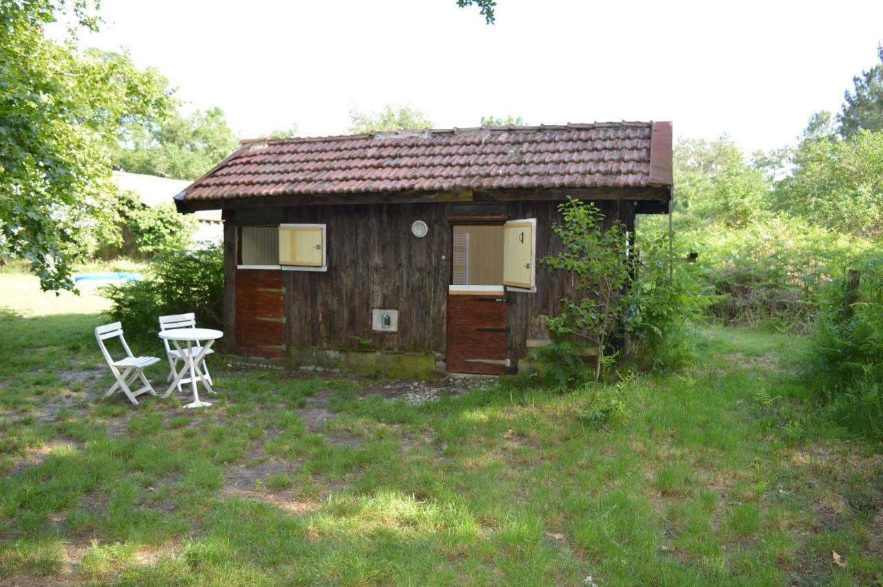 Cabane En Foret Onesse-et-Laharie Bagian luar foto