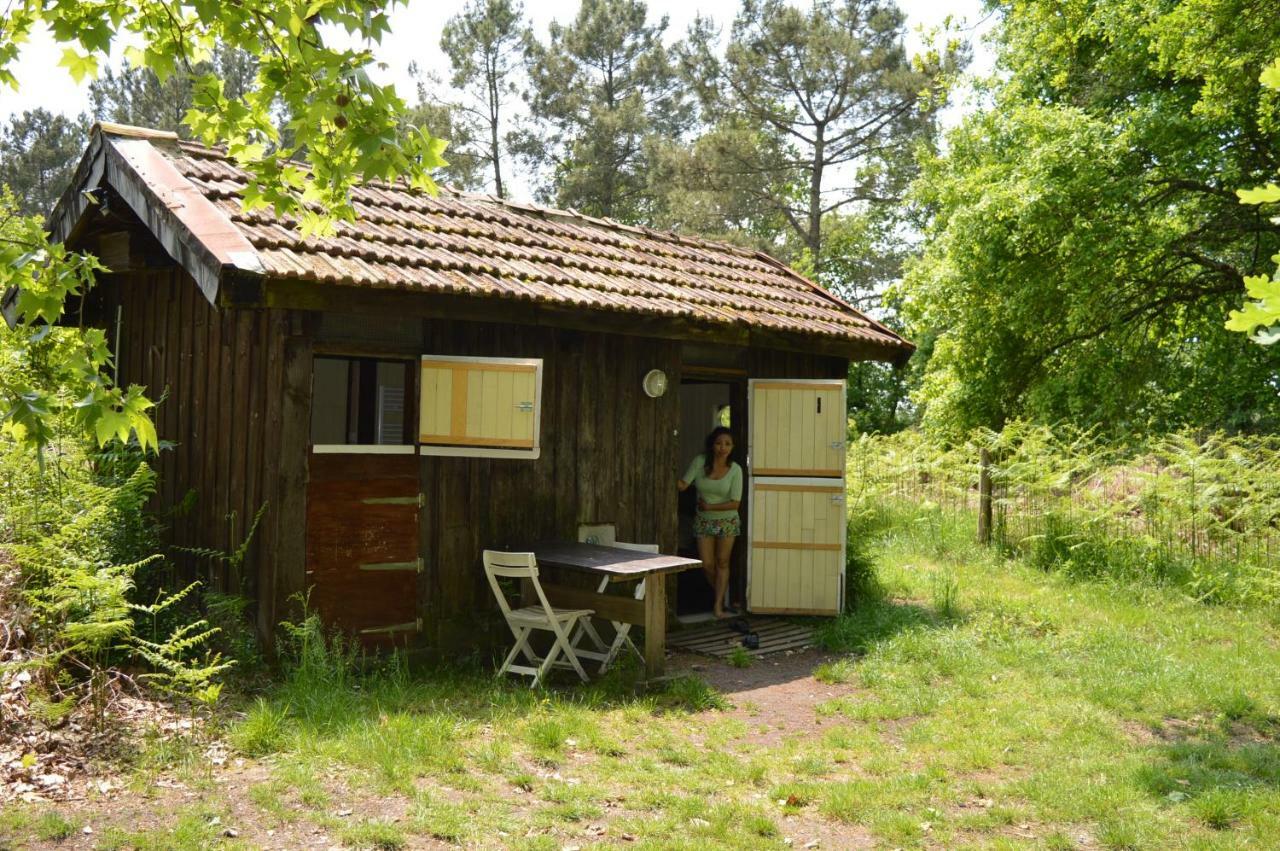 Cabane En Foret Onesse-et-Laharie Bagian luar foto