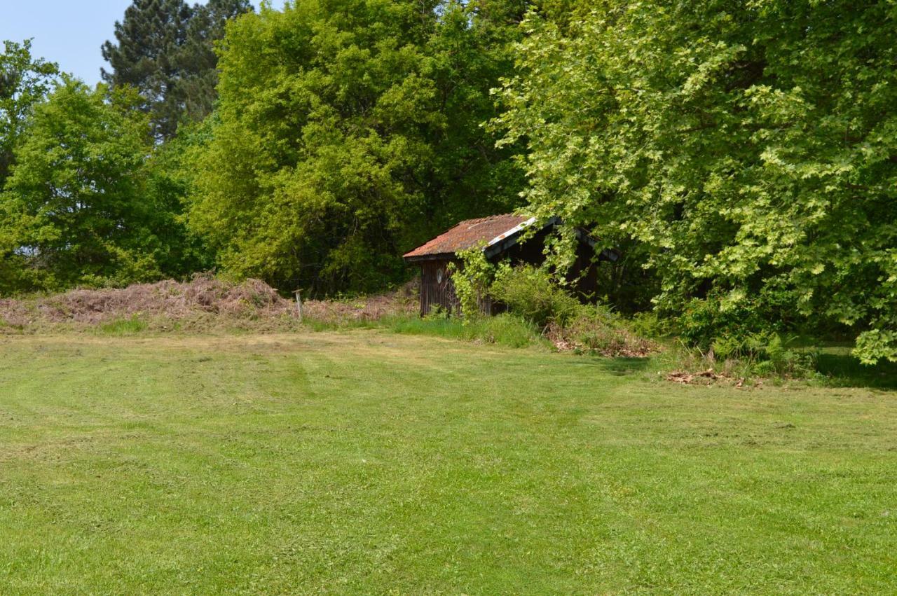 Cabane En Foret Onesse-et-Laharie Bagian luar foto