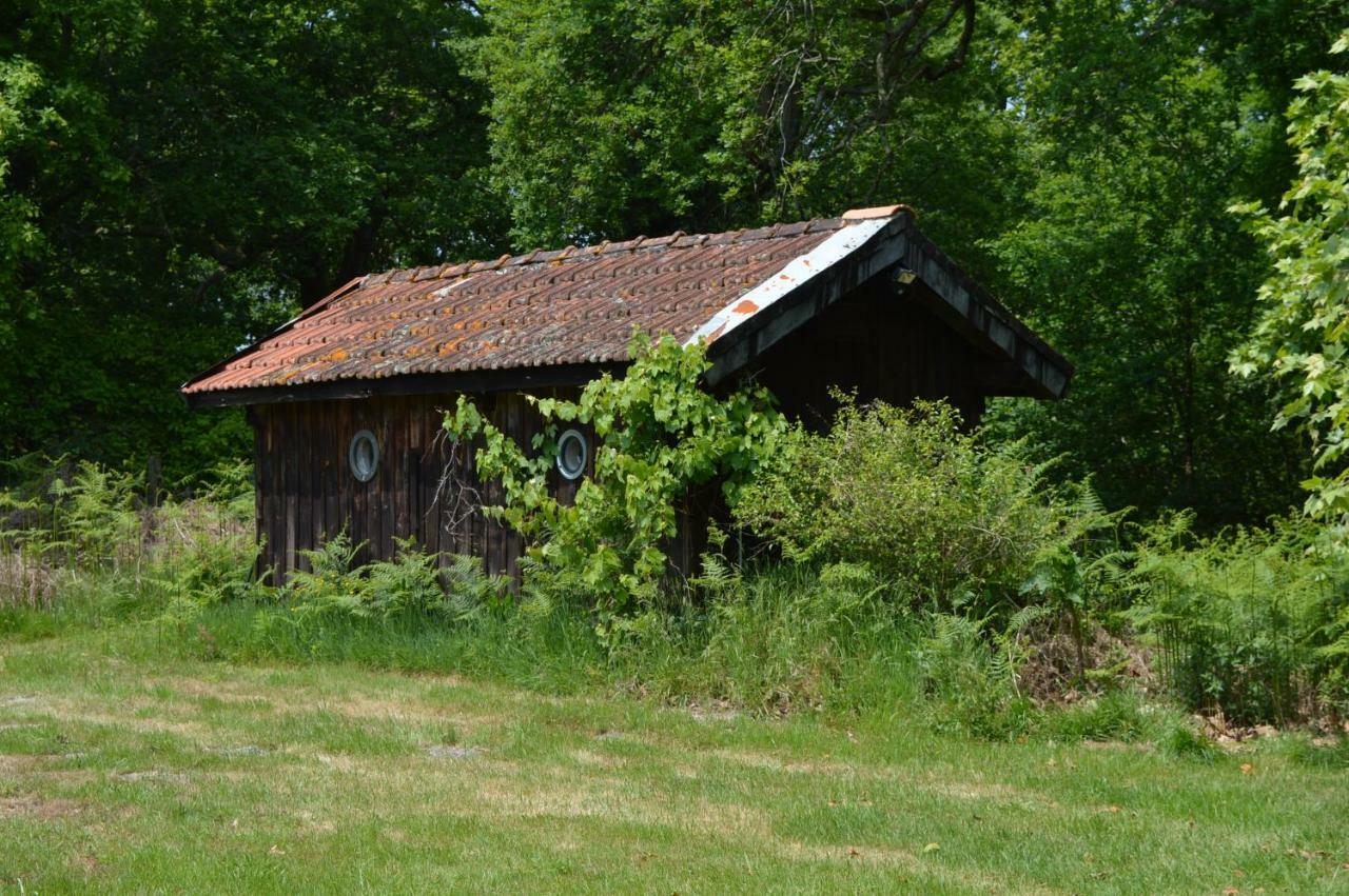 Cabane En Foret Onesse-et-Laharie Bagian luar foto