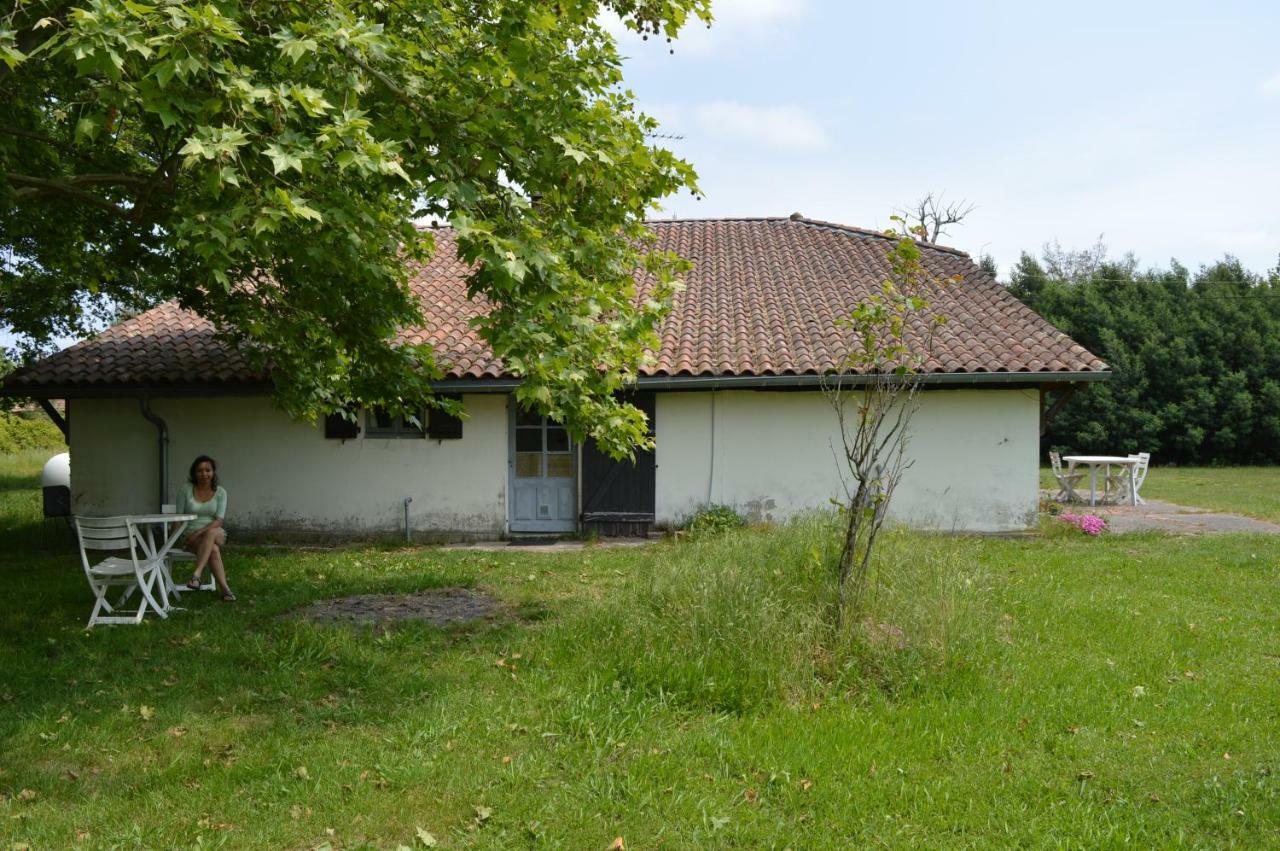 Cabane En Foret Onesse-et-Laharie Bagian luar foto