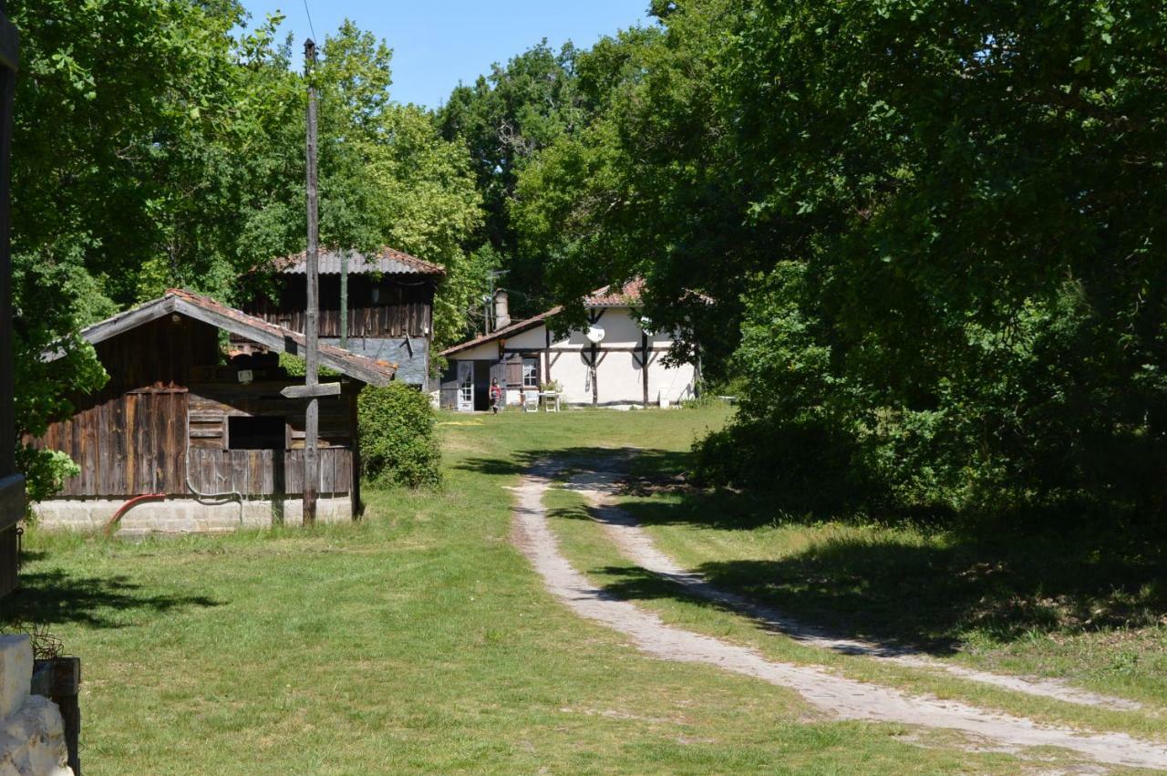 Cabane En Foret Onesse-et-Laharie Bagian luar foto