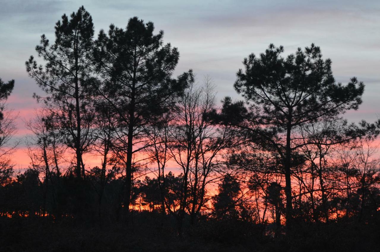 Cabane En Foret Onesse-et-Laharie Bagian luar foto